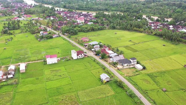 you can see from above the beautiful view of the vast expanse of green rice fields, to be precise, it is in Bungo Regency "Dusun Panjang" which includes people's houses divided by a causeway.
