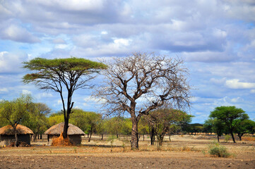 Masai village Tanzania: Many Maasai tribes throughout Tanzania and Kenya welcome visits to their...