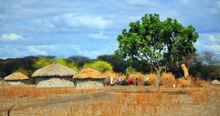 Masai village Tanzania: Many Maasai tribes throughout Tanzania and Kenya welcome visits to their...