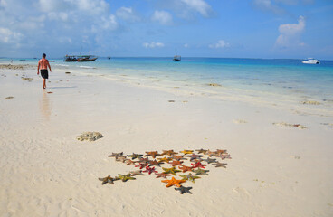 Zanzibar, Tanzania starfish or sea stars are echinoderms belonging to the class Asteroidea. The...