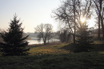 Fototapeta premium View of the river from the park on an autumn foggy day.