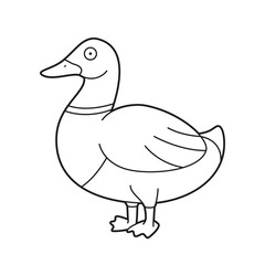 Easy coloring cartoon vector illustration of a brown and green duck