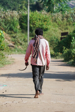 Rural Indian man going to his agriculture farm field holding hand scythe at morning in village, indian farmer going to work, farmer