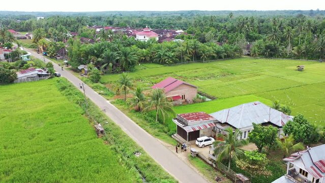 you can see from above the beautiful view of the vast expanse of green rice fields, to be precise, it is in Bungo Regency "Dusun Panjang" which includes people's houses divided by a causeway.