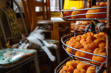 The cat sleeps on a chair with lots of dried persimmons next to it.