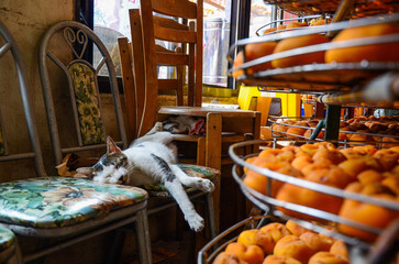 The cat sleeps on a chair with lots of dried persimmons next to it.