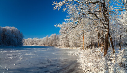 Picturesque view of the frozen lake in the forest. Pond at clear blue sky at background. The snowy trees and shadows on the ice after snowfall on the shore of an icy lake.