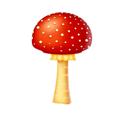 fly agaric mushroom on transparent background