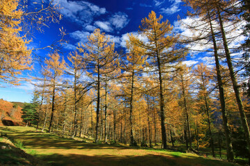 Paysage automnal, couleurs d'automne