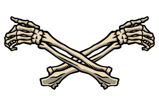 Human skeleton bone hands - vector illustration