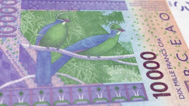 Burkina Faso West African CFA franc 10000 Banknotes, Ten Thousand Burkina Faso, Close-up and macro view of the West African CFA franc, Tracking and Dolly Shots 10000 West African CFA fran banknote