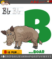 letter B from alphabet with cartoon wild boar animal