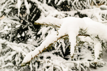 City park covered with snow.