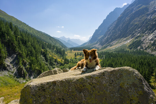 Hiking around Mont Blanc, Alpine landscape