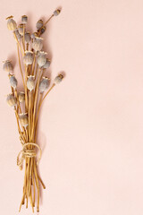 Bouquet of dried poppy pods with long stem