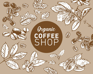 Coffee leaf and beans sketch hand drawn illustration. Organic coffe benas and leafs design template. Vector illustration. Healthy food frame. Coffee leaf design elements. Coffee beans.