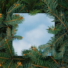 Christmas nature tree branches with mirror which shows a blue sky with clouds. Copy space text and different purposes. New Year visual concept.