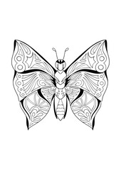 Obraz na płótnie Canvas Mariposa para colorear, mariposa blanco y negro, ficha para colorear, mariposa fantasía