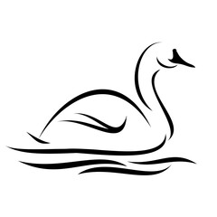 Swan on water black and white stylized line drawing