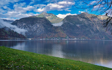  landschaft, wald, sommer, baum, teich, bach, szene, 
