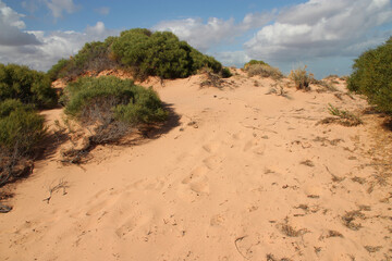 indian ocean at eagle bluff - shark bay - Australia