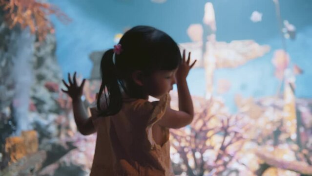 Young smart Asian kid girl stand and look in fish tank at undersea aquarium, silhouette back rear view. Child growth, children fun education, or youth curiosity lifestyle concept