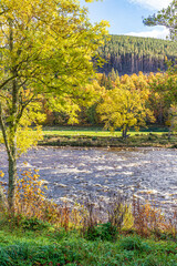 Autumn colours by the River Dee at Ballater, Aberdeenshire, Scotland UK