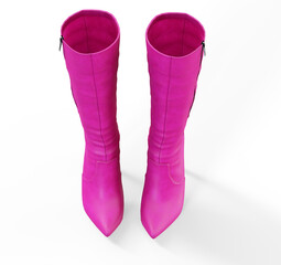 Womans black patent leather shoes on high heels, front view 3d render