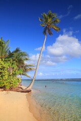 Guadeloupe perfect sandy beach