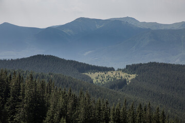 Fototapeta premium Beautiful mountain landscape among grassy mountain hills and meadow covered green lush grass. Carpathian Mountains, Ukraine