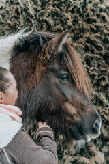 Fototapeta premium Pferdeliebe / Ponyliebe