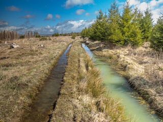 Obraz premium Traktorspur im Wald gefüllt mit smaragdfarbenes Wasser