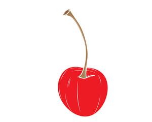 Realistic cherry isolated on white background. Vector illustration.
