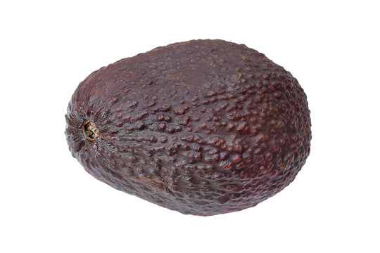 Avocado with dark rough skin on a transparent background. Isolated.