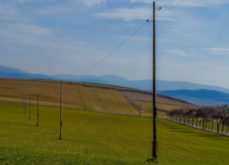 Fototapeta na wymiar green meadows with electric poles