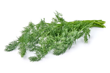 Bunch fresh green dill isolated on white background.