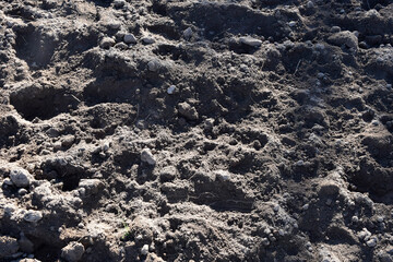 bumpy dark soil with roots texture