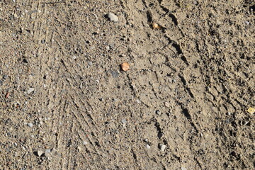 sandy road with tire tracks