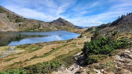Beautiful landscape in France with yellow fields and thick trees around a calm lake on a sunny day