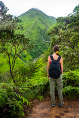 Naklejka premium hiker girl walks path among unique, dense, luscious green vegetation of hawaii, wiliwilinui ridge trail; hiking in hawaii islands mountains near honolulu, active holidays in hawaii