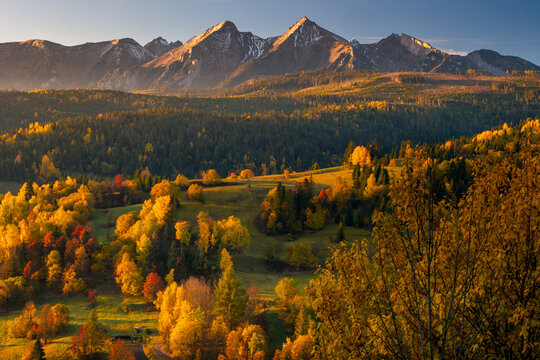 Fototapeta Autumn views near the village of Osturnia in Slovakia. Colorful trees harmonize beautifully with the Tatra Mountains in the background.