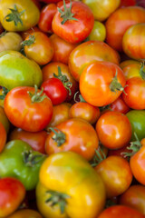 A variety of freshly picked tomatoes from an organic garden