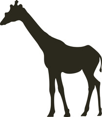 Flat giraffe illustration