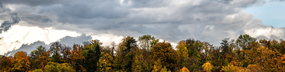 Panorama Herbstliche Baumkronen