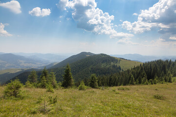 Fototapeta na wymiar Beautiful mountain landscape among grassy mountain hills and meadow covered green lush grass. Carpathian Mountains, Ukraine