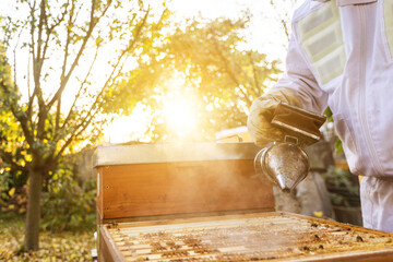 Beekeeper on an apiary, beekeeper is working with bees and beehives on the apiary, beekeeping or...