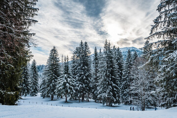 Snowy landscape in the Germand Alps on a cloudy winter afternoon