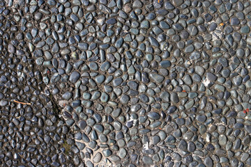 garden pebble stone on the garden pathway