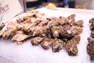 Plenty of fresh closed oysters on ice. Close up. Sea food. Barcelona market, ​​Spain