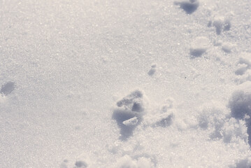 background of snow texture in blue tone